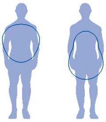 formas del cuerpo según el sexo y la distribución de la grasa corporal