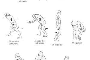 Lee más sobre el artículo Estiramiento y entrenamiento con pesas