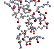 Lee más sobre el artículo Suplementos dietéticos: Hidrolizados de proteínas