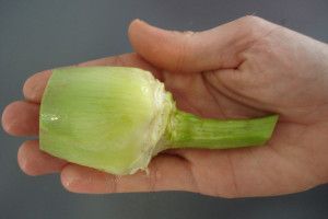 Lee más sobre el artículo Dieta de la alcachofa para perder 3 kilos