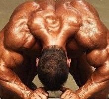 Lee más sobre el artículo Definición muscular, para hacer visibles tus músculos