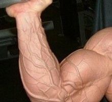 Lee más sobre el artículo Trucos Pro, entrena bíceps con Christian Thibaudeau