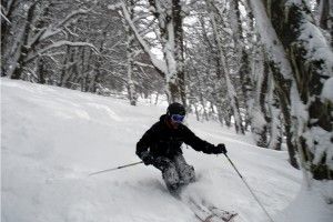 Lee más sobre el artículo Preparación física para deportes de invierno