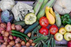 Lee más sobre el artículo El Vegetarianismo