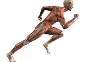 Lee más sobre el artículo Técnica Power Flex, entrenamiento de fuerza, flexibilidad y equilibrio
