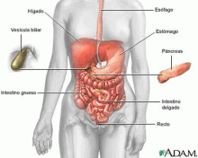 La gastritis, una dolencia frecuente de la vida moderna 1