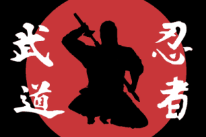 Lee más sobre el artículo Ninjutsu, el arte de la resistencia