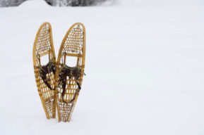 Las raquetas de nieve