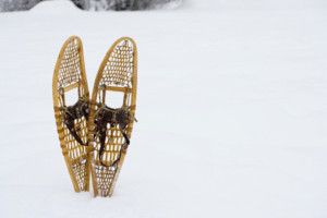 Lee más sobre el artículo Las raquetas de nieve