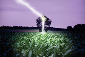 Lee más sobre el artículo Tormentas… qué no hay que hacer