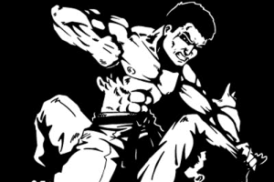 Lee más sobre el artículo Jiu-Jitsu, el arte de la flexibilidad