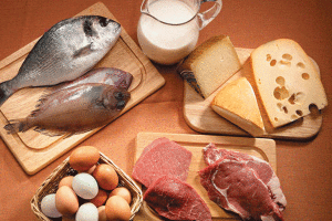 Lee más sobre el artículo Músculos y proteínas