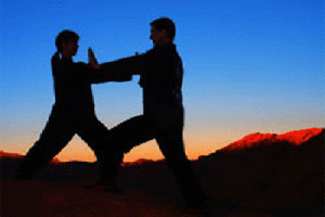 Lee más sobre el artículo TAI  CHI CHUAN