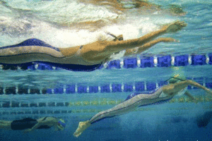 Lee más sobre el artículo Hidrogimnasia, movimiento en el agua