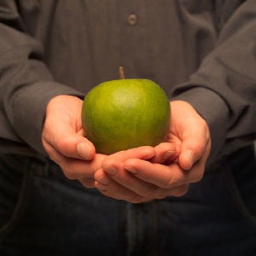 Lee más sobre el artículo Una cuestión conceptual: ¿Cómo diferenciar la nutrición de la alimentación?