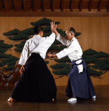 Aikido, el arte de la paz 1