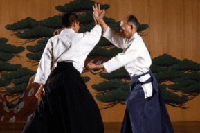 Aikido, el arte de la paz