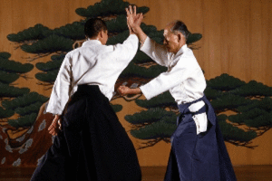 Lee más sobre el artículo Aikido, el arte de la paz