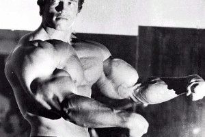 Lee más sobre el artículo Pectorales ¿cuadrados o redondos?