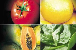 6 Beneficios De Comer Fruta A Diario