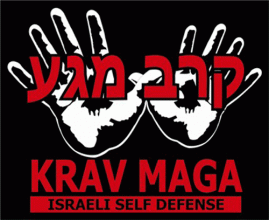 Krav Maga, sistema de lucha y defensa personal 1