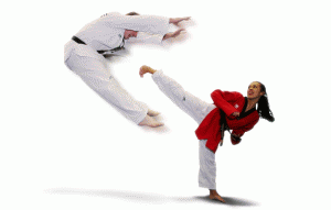 Taekwondo, sus técnicas 1