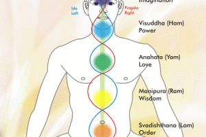 Lee más sobre el artículo Yoga, los chakras