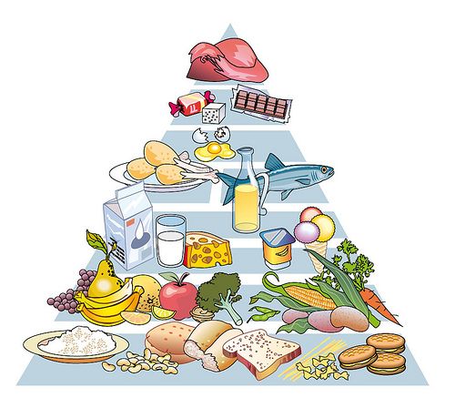Lee más sobre el artículo Ranking de alimentos para comenzar una dieta