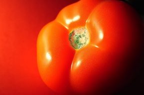 Sopas de tomates frescos: Una receta exquisita y nutritiva