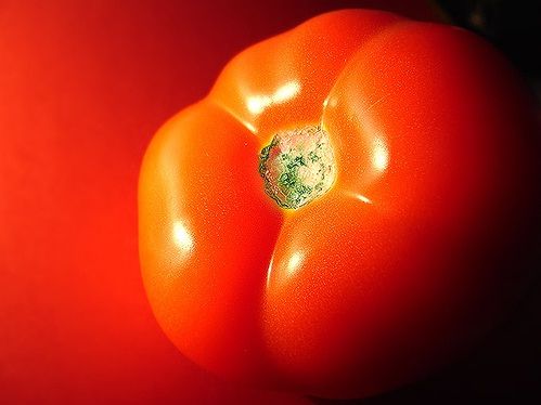 Lee más sobre el artículo Sopas de tomates frescos: Una receta exquisita y nutritiva