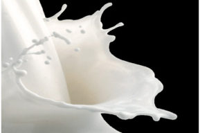 Beneficios de consumir lácteos