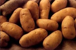 Lee más sobre el artículo Propiedades nutricionales de la papa