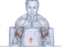 Lee más sobre el artículo Tips para tu rutina de biceps