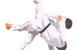 Lee más sobre el artículo Judo, breve reseña