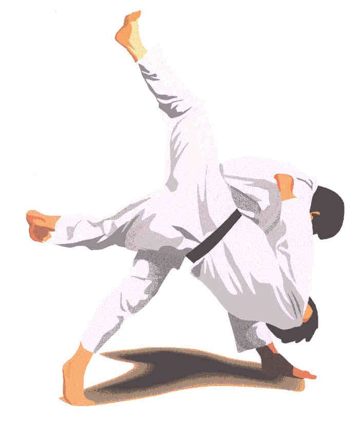 Lee más sobre el artículo Judo, breve reseña
