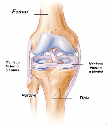 Las lesiones de meniscos de la rodilla 2