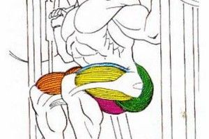 Lee más sobre el artículo Tips para mejorar tus sentadillas.