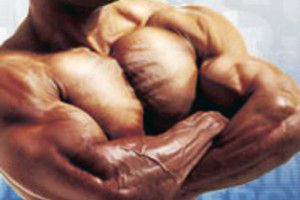 Lee más sobre el artículo Alimentos para aumentar la masa muscular