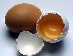 La yema del huevo, un mito 1