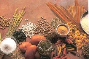 Lee más sobre el artículo Importancia de los hidratos de carbono en la alimentación deportiva