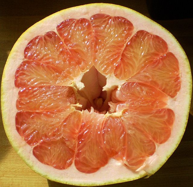 Lee más sobre el artículo El menú del día: Vieiras con ensalada de pomelo