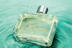 Lee más sobre el artículo Perfume Lacoste Essential para ellos