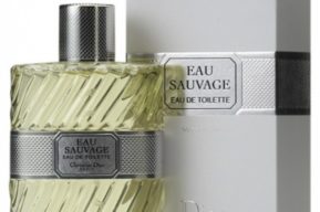 Perfumes para hombre 2010
