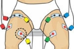 Lee más sobre el artículo Rompe tu récord con electroestimuladores