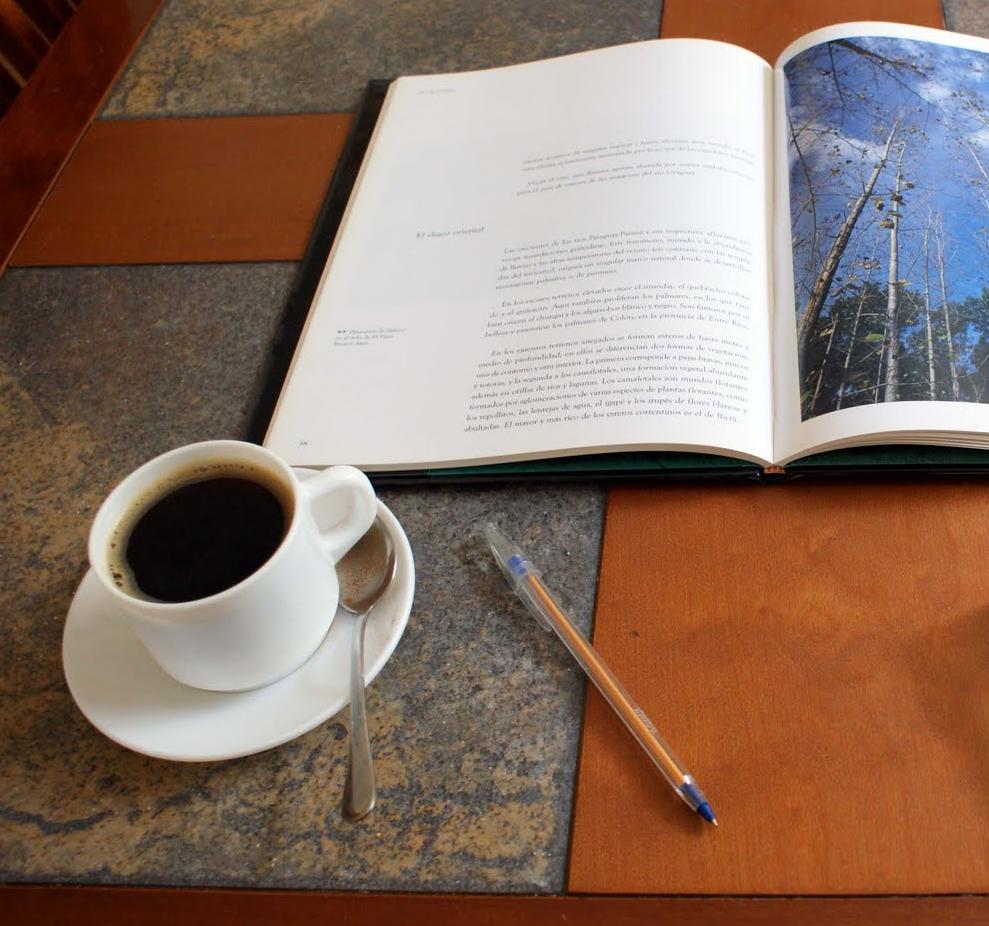 Lee más sobre el artículo El café y el estrés