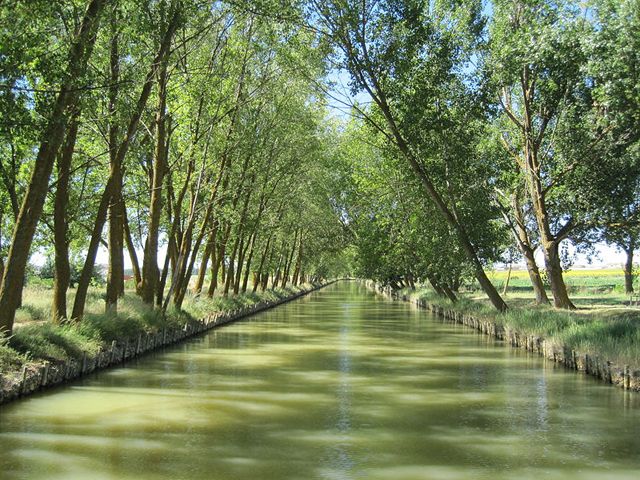 Lee más sobre el artículo Paseo en barco por el Canal de Castilla
