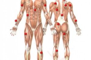 Lee más sobre el artículo Full Fitness v 1.0 para estar en forma
