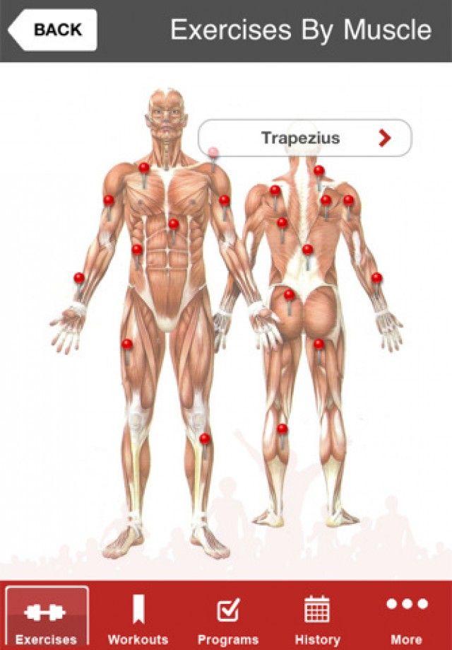Lee más sobre el artículo Full Fitness v 1.0 para estar en forma