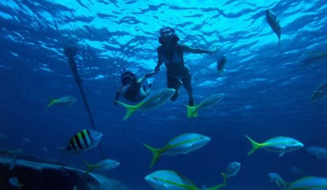 Lee más sobre el artículo Relax y buceo en Cuba