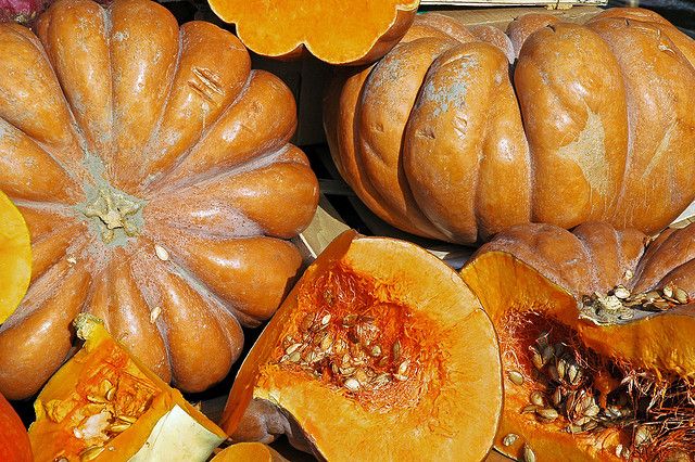 Lee más sobre el artículo La calabaza, un alimento saludable
